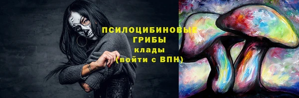 ешки Абаза