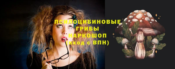 сатива Абинск