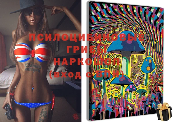 дживик Ростов