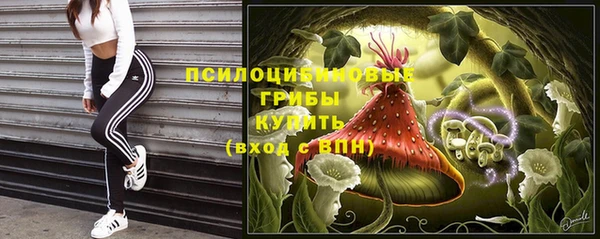 сатива Абинск